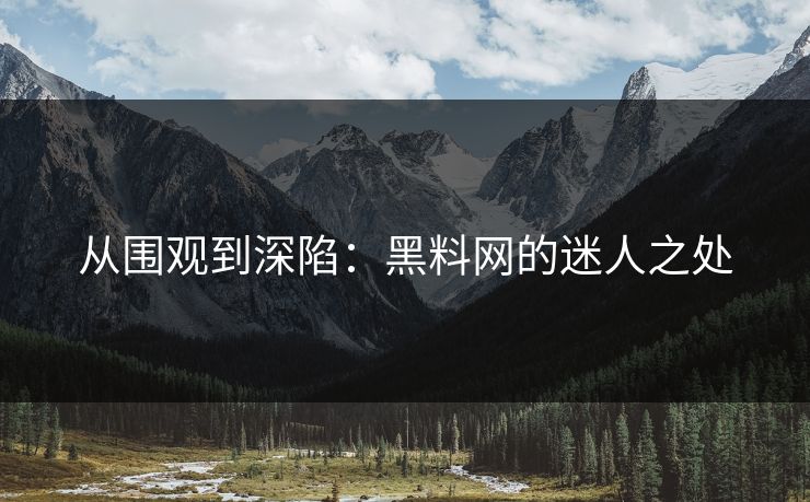从围观到深陷：黑料网的迷人之处  第1张