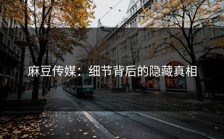 麻豆传媒:细节背后的隐藏真相 第1张 麻豆传媒:细节背后的隐藏真相 第1张