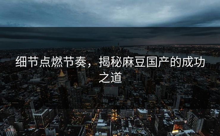 细节点燃节奏,揭秘麻豆国产的成功之道 第1张 细节点燃节奏,揭秘麻豆国产的成功之道 第1张