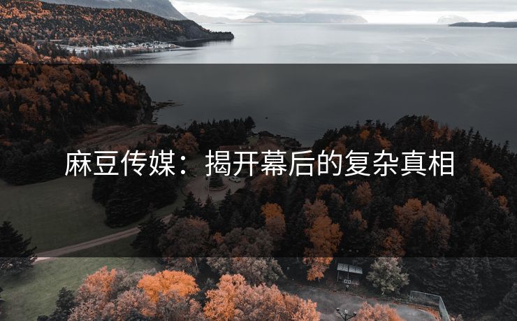 麻豆传媒:揭开幕后的复杂真相 第1张 麻豆传媒:揭开幕后的复杂真相 第1张