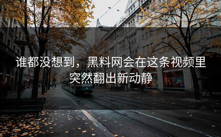 谁都没想到，黑料网会在这条视频里突然翻出新动静  第1张