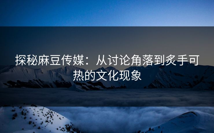 探秘麻豆传媒：从讨论角落到炙手可热的文化现象  第1张