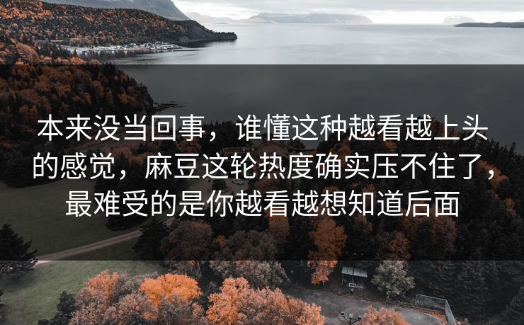 本来没当回事，谁懂这种越看越上头的感觉，麻豆这轮热度确实压不住了，最难受的是你越看越想知道后面  第1张