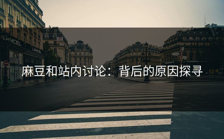 麻豆和站内讨论:背后的原因探寻 第1张 麻豆和站内讨论:背后的原因探寻 第1张