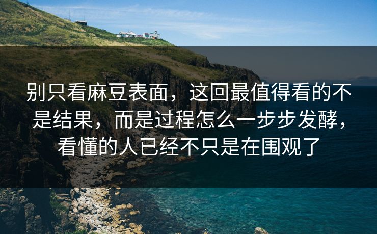 别只看麻豆表面，这回最值得看的不是结果，而是过程怎么一步步发酵，看懂的人已经不只是在围观了  第1张