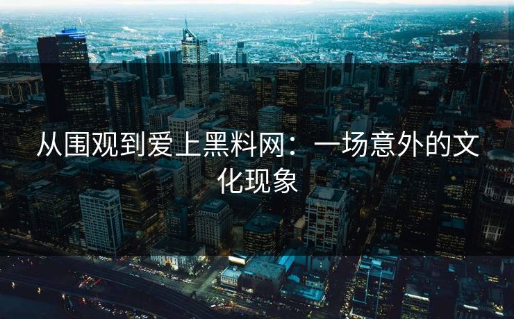从围观到爱上黑料网：一场意外的文化现象  第1张