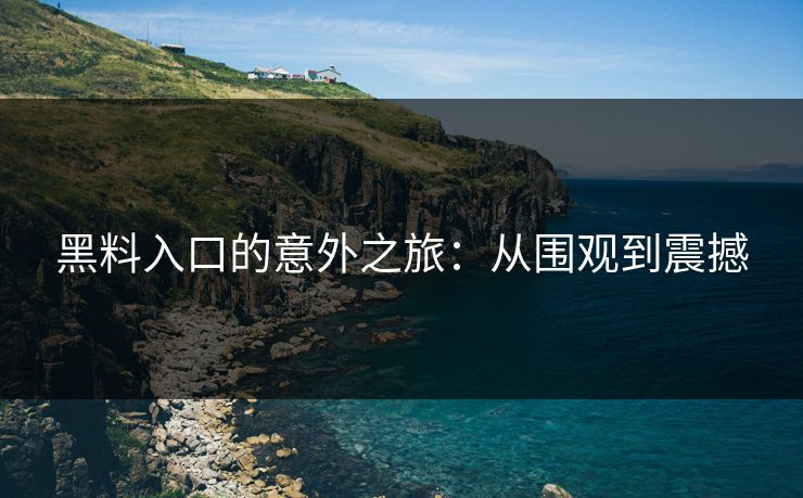 黑料入口的意外之旅：从围观到震撼  第1张