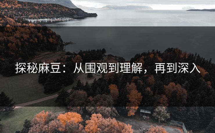 探秘麻豆：从围观到理解，再到深入  第1张
