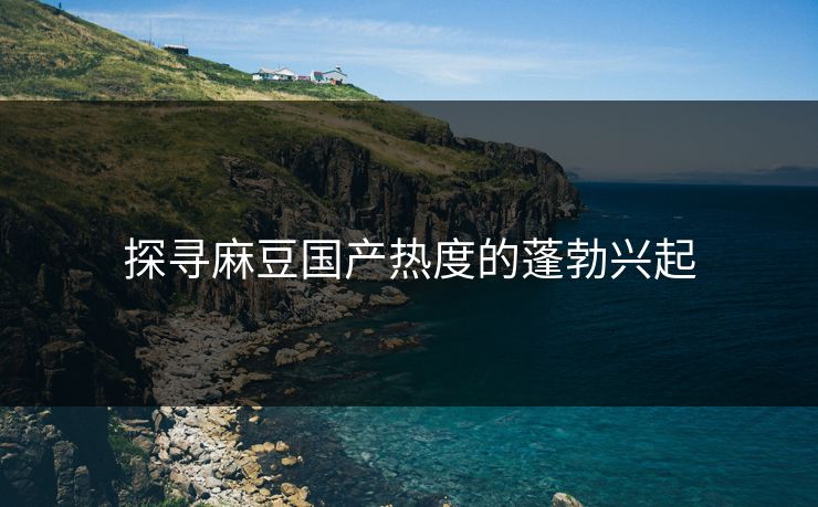 探寻麻豆国产热度的蓬勃兴起 第1张 探寻麻豆国产热度的蓬勃兴起 第1张