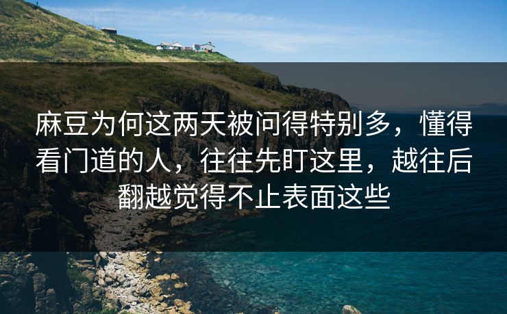 麻豆为何这两天被问得特别多，懂得看门道的人，往往先盯这里，越往后翻越觉得不止表面这些  第1张